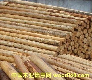 ɼľԭľ��Ԕ����B