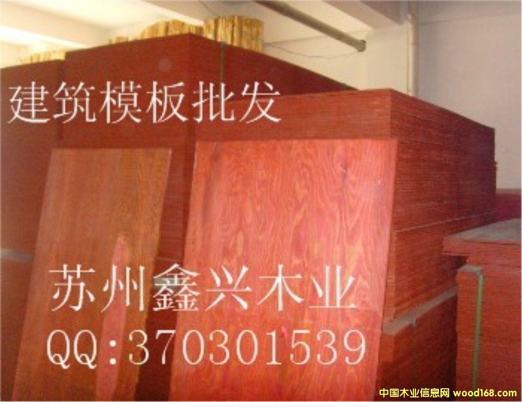 ����ģ�����l