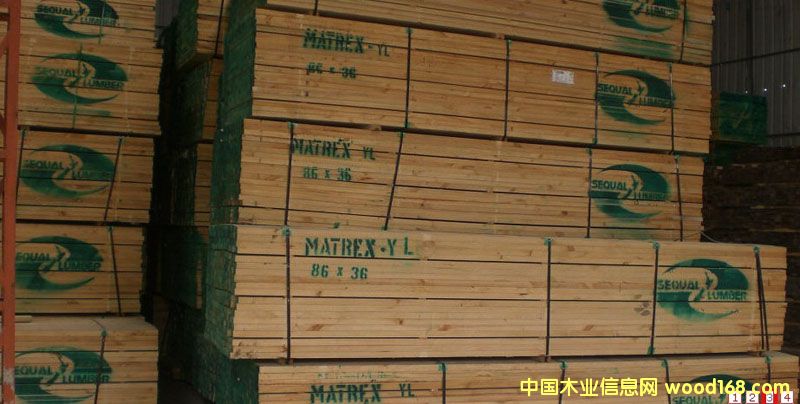 �����m��ݗ���� ��ĵ�Ԕ����B