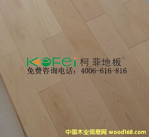 �·Ɨ�ľ��ľ�ذ��Ԕ����B