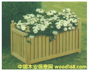 �c���鿴ľ��Ʒ�Ŵ�DƬ