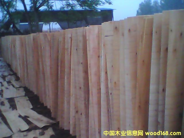 ľ����Ԕ��(x��)��B