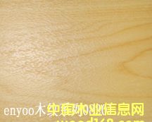 �@����،��õذ�