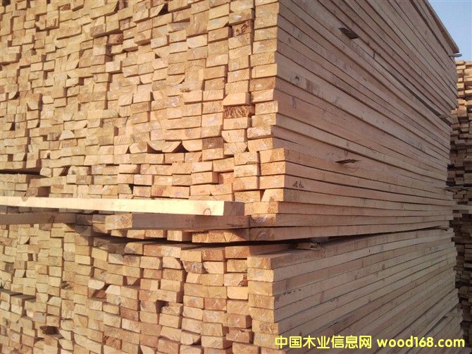 ������ľ����Ԕ��(x��)��B