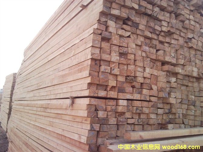 ������ľ����Ԕ��(x��)��B