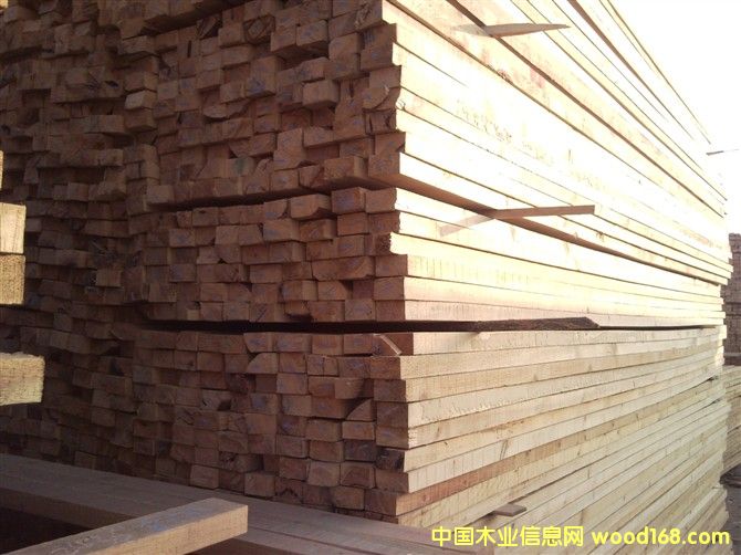 ������ľ����Ԕ��(x��)��B