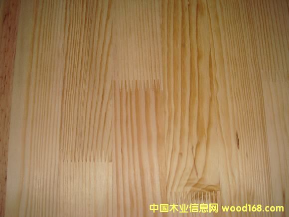 �c���鿴��ľָ�Ӱ�Ŵ�DƬ