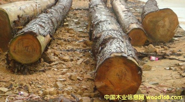 ԭľ��Ԕ����B