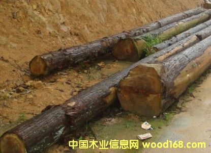 ԭľ��Ԕ����B