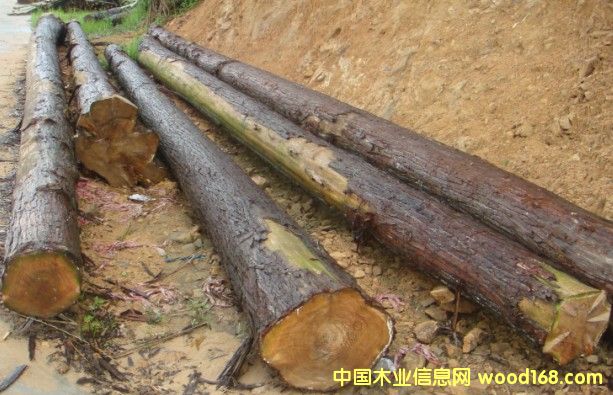 ԭľ��Ԕ����B