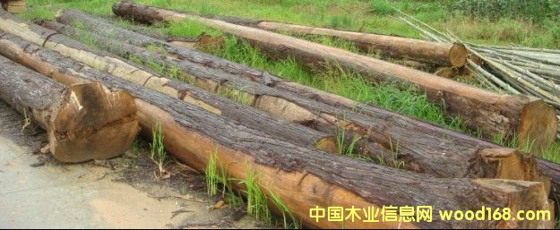 ԭľ��Ԕ����B