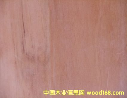 ��ľ��Ԕ��(x��)��B