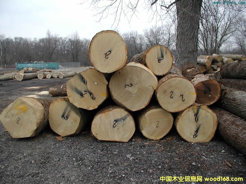 ľ��10��Ԕ����B