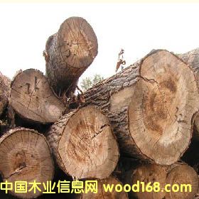 ľ��9��Ԕ����B