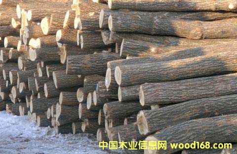 ľ��14��Ԕ����B