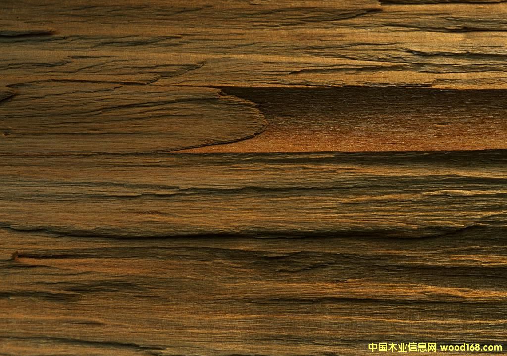 ľ��6��Ԕ����B