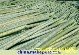 ë���Ԕ��(x��)��B