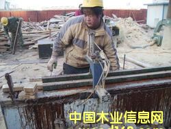 ����ľ�����әC