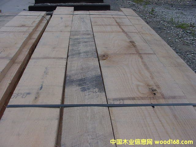 �����t��