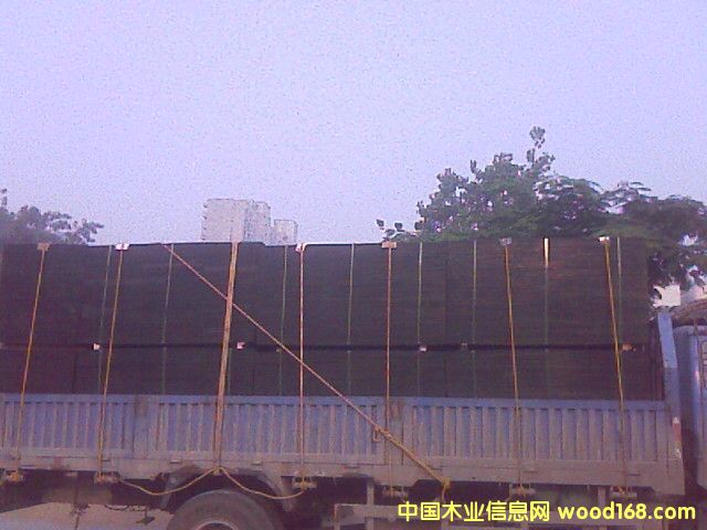 3*6��Ĥ���Ԕ����B