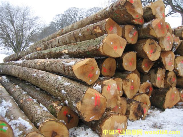 �W�ް�Ϟ/ˮ����ԭľ��Ԕ����B