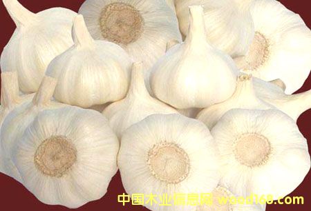 �ذ���ĵ�Ԕ����B