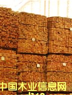 ���zľ��Ԕ����B