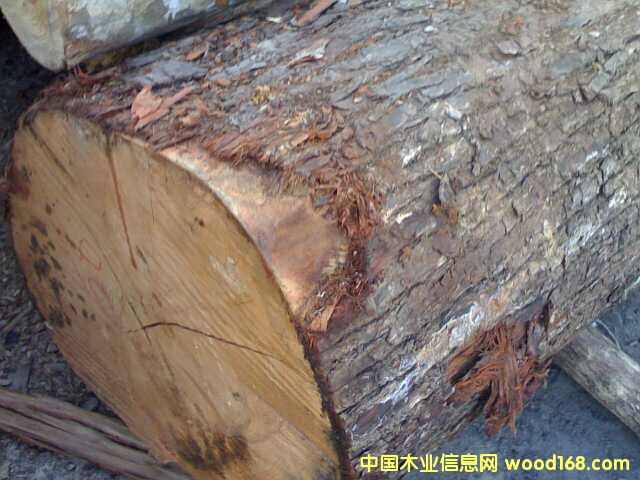 �ᗗ��Ԕ��(x��)��B