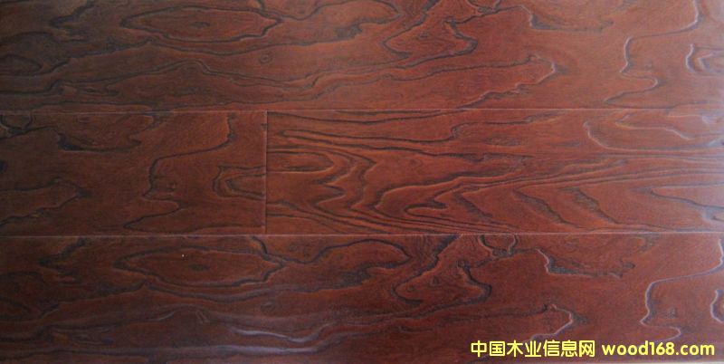 �c���鿴�t�䞳�ذ�Ŵ�DƬ