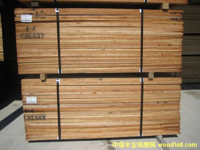 ����(gu��)��(sh��)ľ��Ԕ��(x��)��B