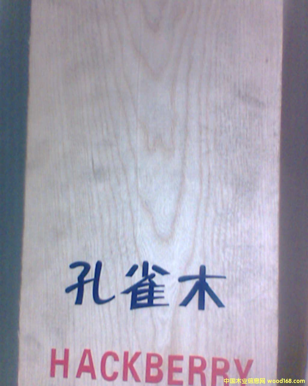 ����(gu��)��ȸľ������ľ��