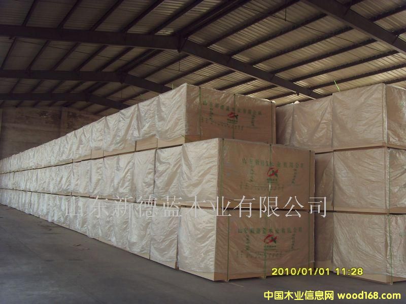 ���ܶȰ��Ԕ����B