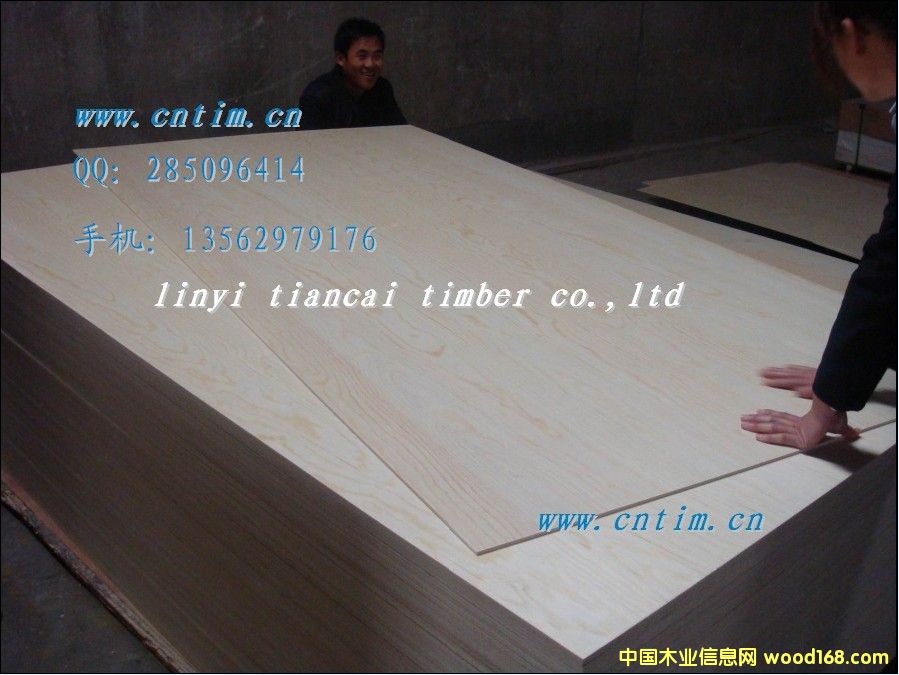 �z�ϰ����x�R����ؔľ�I ֵ����ه13562979176