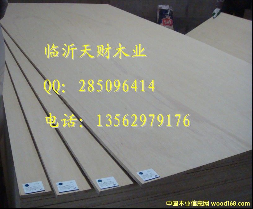 24/25mm�z�ϰ��������Ȱ�13562979176