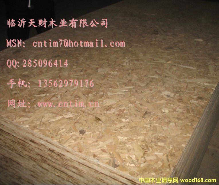 �R����ؔľ�IOSB�����ٻ���r��13562979176