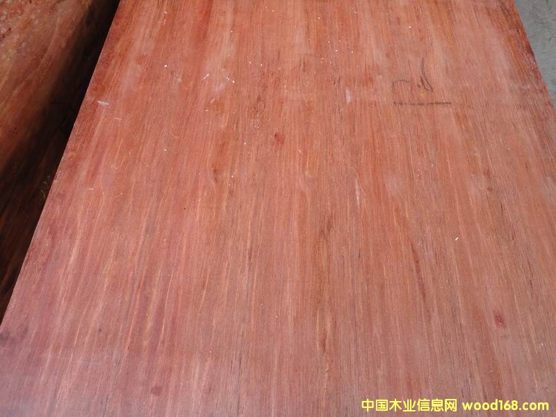 ����ģ���Ԕ����B