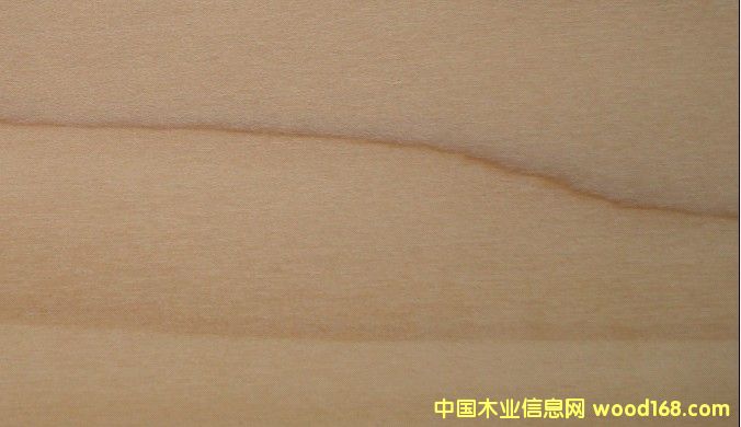 �S��ľYP��Ԕ����B