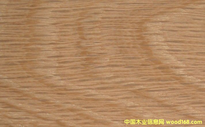 ����ľW(w��ng)O��Ԕ����B