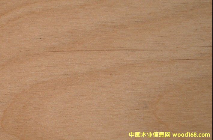 ����ľALD��Ԕ����B