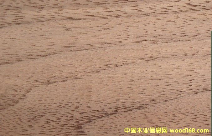 �ں���WAL��Ԕ����B