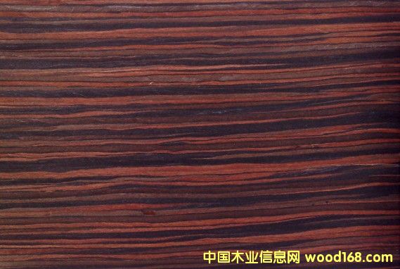 ����ľ���ľƤ��Ԕ����B