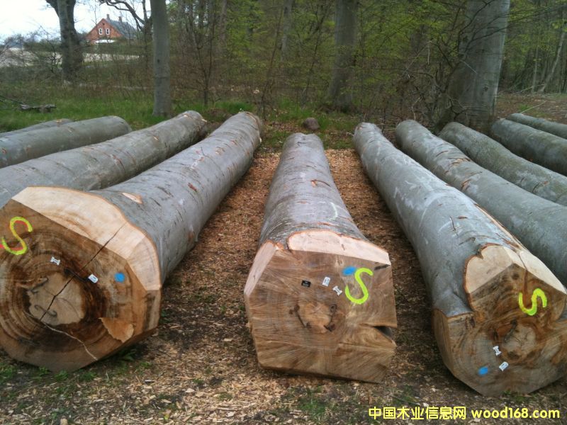 ��ľ��Ԕ����B