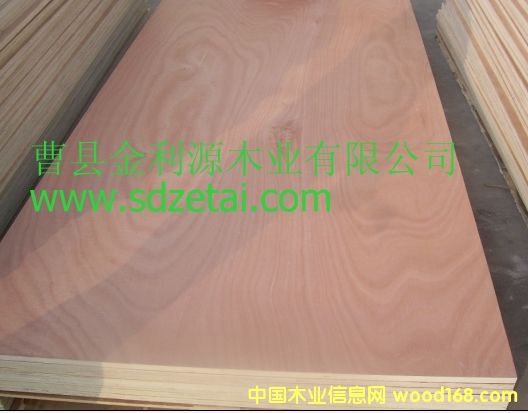 ��ľ����Ҿ�