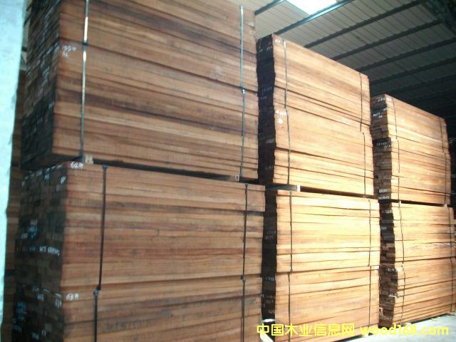 ����ɳ������Ԕ����B