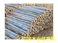 ԭľ��Ԕ��(x��)��B