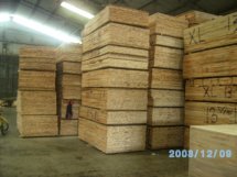 �sľ��ľ��о���Ԕ����B