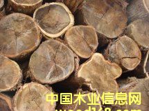 ������ԭľ��Ԕ����B