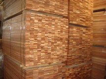 ������(y��u)�|�𲻓Q�ذ��Ԕ����B