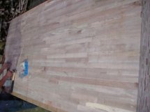 ������(y��u)�|�t����ľ��о���Ԕ����B