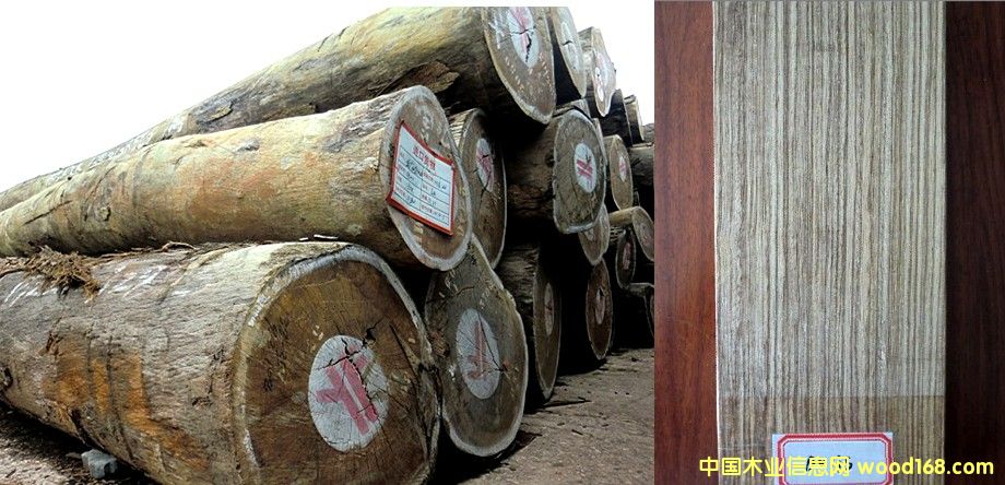 �t�Fľ С���R��Ԕ����B